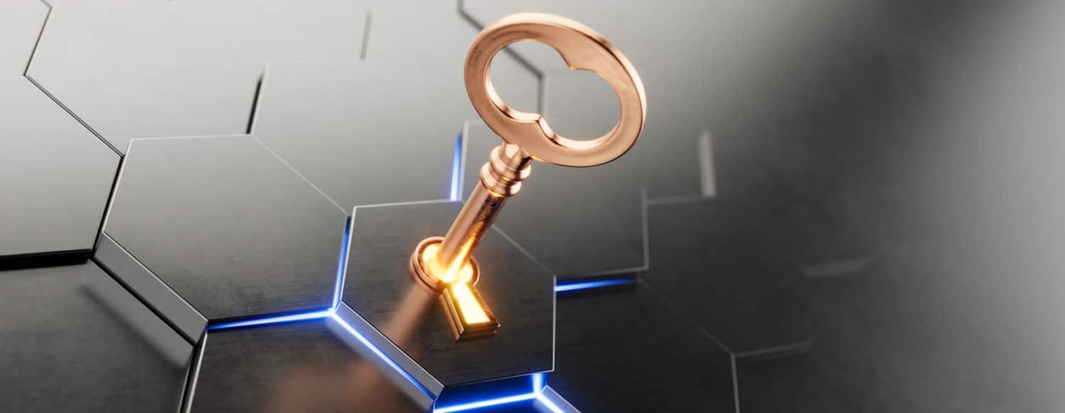 Unlocking Business Value